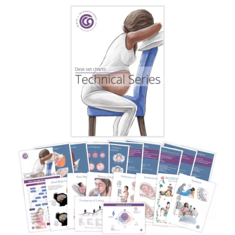 Childbirth Technical ChartsDesk Set Series