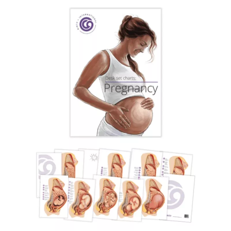 Pregnancy ChartsDesk Set Series